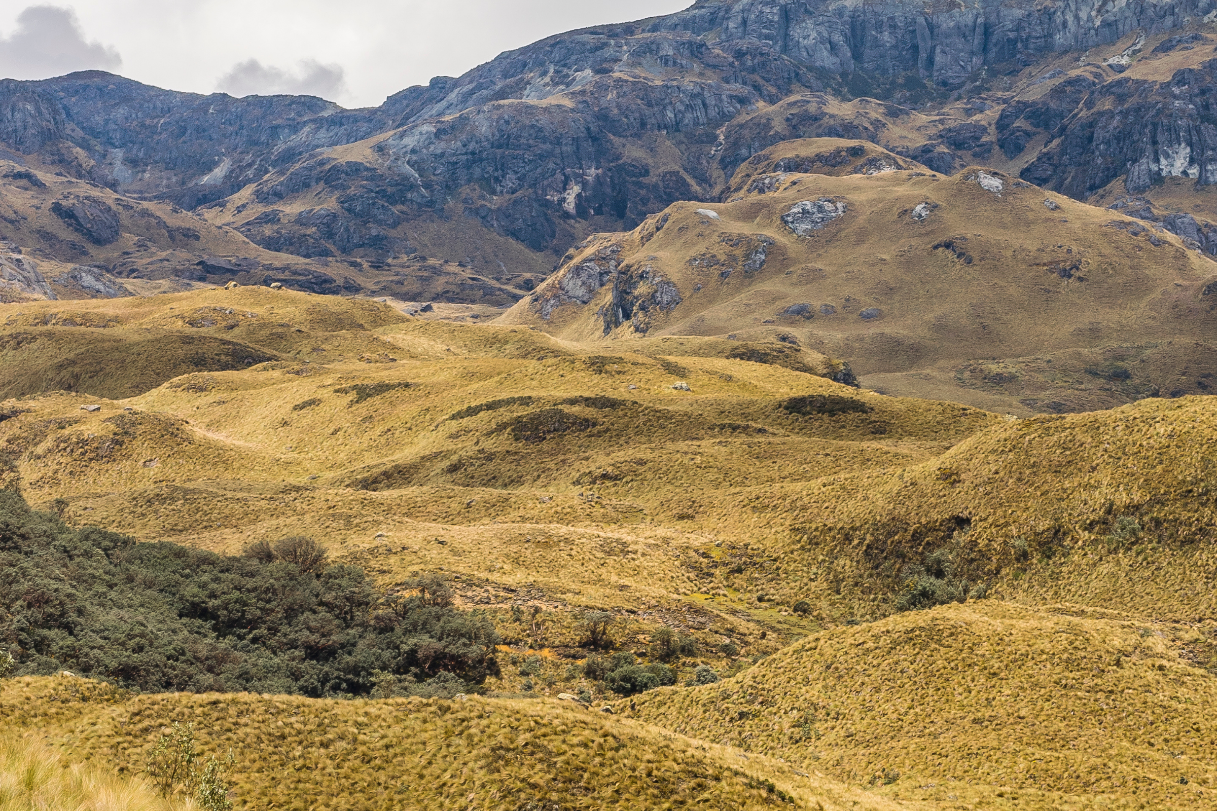 cajas national park.webp